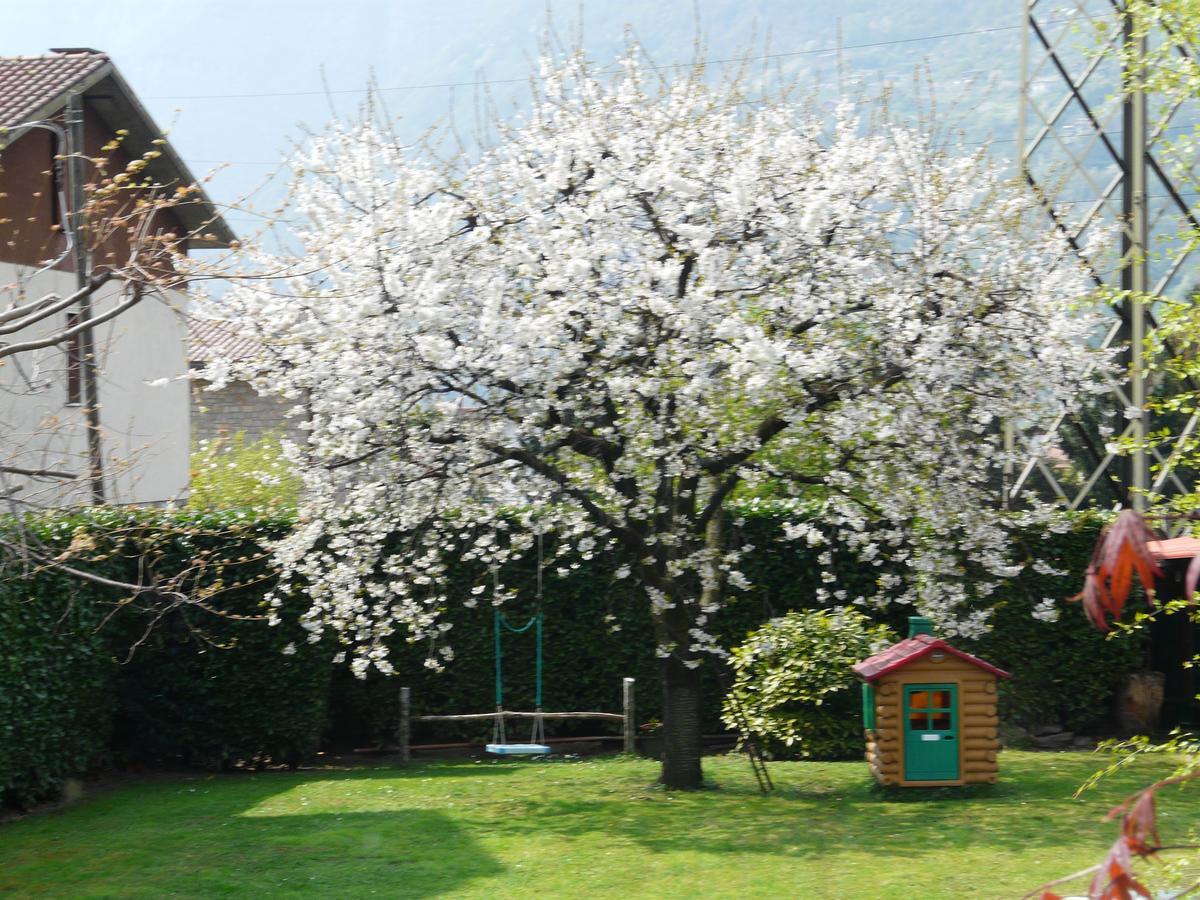 Bed and Breakfast La Casa Di Clara Esine Exterior foto